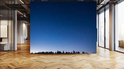 blue dark night sky with many stars above field of trees Wall mural