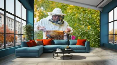 caucasian bee master on apiary wearing protective suit and mask, caucasian beekeeper examining bees on a bee farm Wall mural