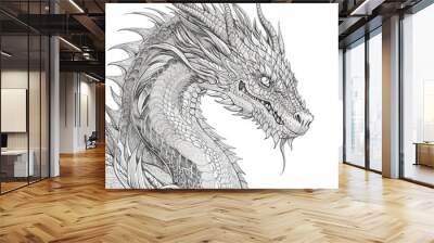 Chinese Dragon black and white drawing design 2d illustration. Traditional mystical creature vector coloring page Wall mural