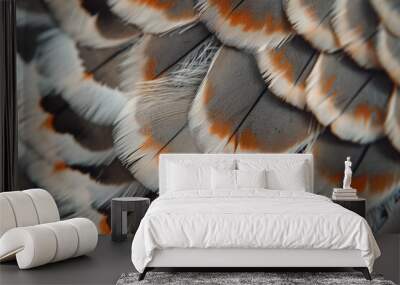 Closeup image of feathers in pattern Wall mural