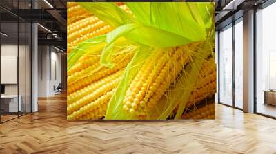 corn background Wall mural