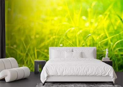 green grass Wall mural