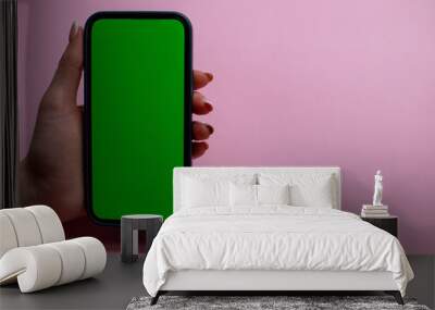 Look up information on the phone, place for text. phone in female hands with a green screen for chroma key.
 Wall mural