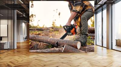 Lumberjack logger worker in protective gear cutting firewood timber tree in forest with chainsaw. caucasian male in plaid shirt engaged in hard work in forest at summer evening. Cropped wood man Wall mural