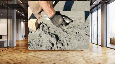 Closeup of mason's hand spreading concrete mix Wall mural