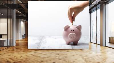 woman hand putting money coin into piggy for saving money wealth and financial concept Wall mural