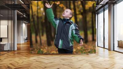 autumn boy outdoors Wall mural