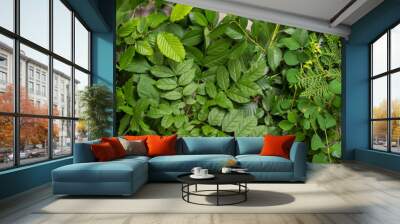 Many green leaf Wall mural