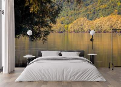 Beautiful lake view with trees surrounding it Wall mural