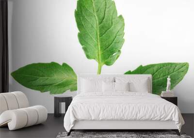 Tomato leaf isolated on white background with clipping path Wall mural