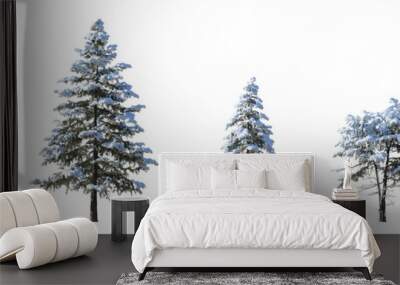 Set of winter picea pungens colorado green spruce with snow evergreen pinaceae needled tree isolated png on a transparent background perfectly cutout
 Wall mural