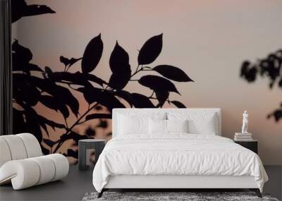 Silhouette of Leaves at Dusk: A Tranquil Sunset Wall mural