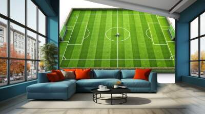 The image presents a top-down view of a soccer field featuring clear markings, two goalposts, and a central circle, emphasizing the playing area for the game Wall mural