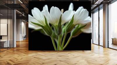 White flower Silene latifolia petals. Generative AI Wall mural