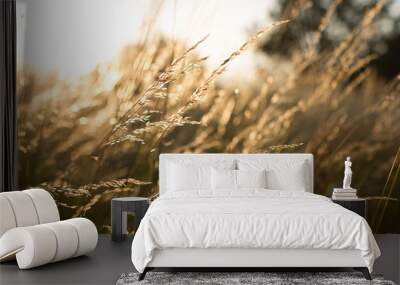 Wild grass field landscape with spikes. Rural scene. Nature concept. Blurred soft focus. Wall mural