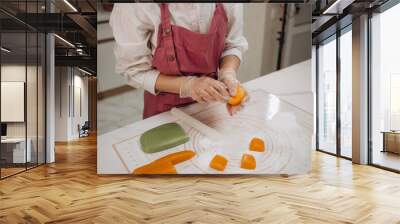 Woman hand making Japanese red bean mochi cake in a kitchen Wall mural