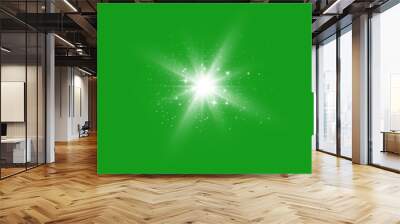 Effect of glowing star lights, flares, explosion and stars. Special effect isolated on transparent background. The effect of sparkling white dust on a green background. Flash vector. Len glitter Wall mural