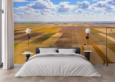 Above view on two combines, harvester machines, harvest ripe maize and blue sky with white clouds Wall mural