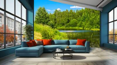 Rural landscape by the river, nature in summer Wall mural