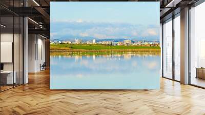 Salt lake view, Larnaka, Cyprus Wall mural