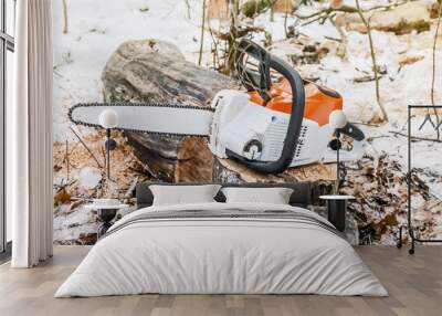 Chain saw on cut logs into the woods. Forest clearing, tree cutting, ecology. Wall mural