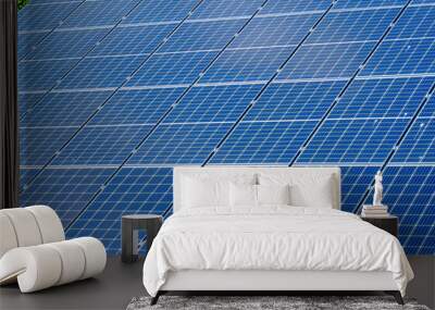 Rows of solar battery or solar panel. Modern technologies for energy revolution, alternative energy. Wall mural