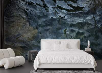 river Wall mural