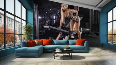 beautiful girl bodybuilder , execute exercise with dumbbells, in dark gym Wall mural