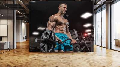 Handsome man with big muscles, posing at the camera in the gym Wall mural