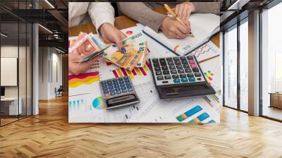 Business graphs with female hands holding euro Wall mural