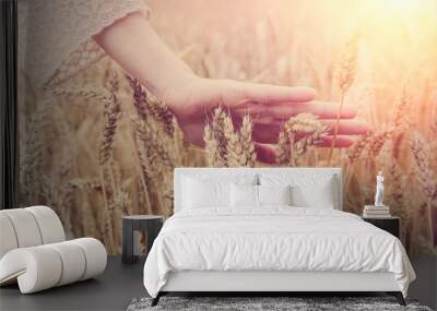 Female hand over wheat field Wall mural