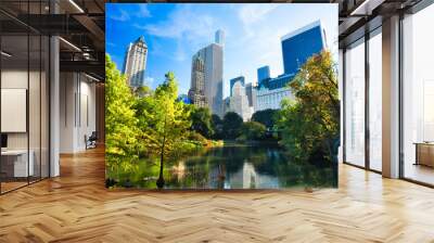 New York City Midtown Manhattan View from Central Park, New York Wall mural