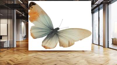 swallowtail mahaon butterfly isolated vintage illustration on transparent background cut-out collage Wall mural