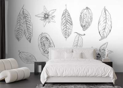 Set cacao leaves, cacao beans, cacao flowers.  Hand drawn vector illustration. Wall mural