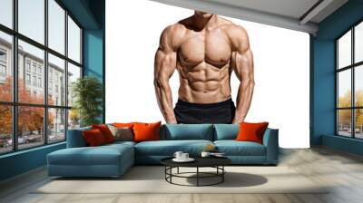 Man workout with dumbbells. Photo of strong man with naked torso isolated on white background. Strength and motivation. Wall mural