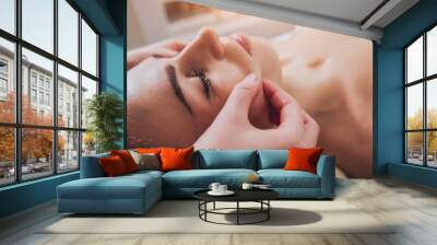 Beautiful woman in spa salon getting facial massage Wall mural