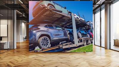 Car carrier trailer transports cars on highway at blue sky background.  Wall mural