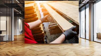 Carpenter with fibreboards at furniture factory workshop. Woodworking industry Wall mural