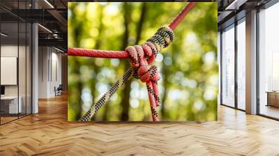 Detail of rope park in a forest. Adventure summer park. Wall mural