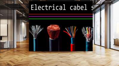 Electrical equipment. Electricity cable Wall mural