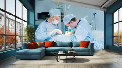 Spinal surgery. Group of surgeons in operating room with surgery equipment. Laminectomy Wall mural