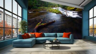 Stream in woods Wall mural