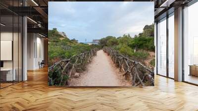 Calo des Moro, Majorca, Spain. Beautiful beach landscape, exotic tropical island nature, blue sea water, ocean waves, summer holidays vacation. Wall mural