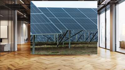 Solar panel, photovoltaic, alternative electricity source. Renewable Energy. Solar Power.  Wall mural