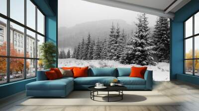 Winter forest in snow. Mountain landscape with a footpath. Sunny day and frosty weather Wall mural