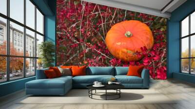 Beautiful autumnal single orange pumpkin lying on shrub of red autumn barberry berries. Autumnal background. Fall vibes. Copy space Wall mural