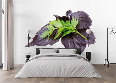  basil and parsley isolated on whit Wall mural