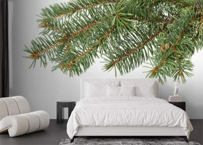 Fir tree branch. Pine branch. Christmas background. Wall mural