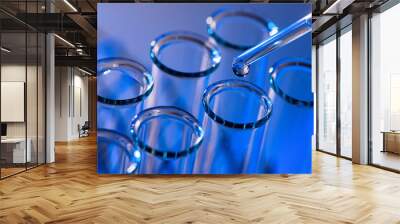 Test tube row. Concept of medical or science laboratory, liquid drop droplet with dropper in blue tone background, close up, micro photography picture. Wall mural