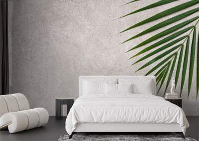 Tropical palm leaves isolated on dark gray background. Wall mural